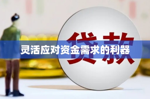 港南灵活应对资金需求的利器